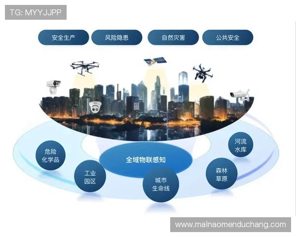 博鱼真人平台会员登录不上去时用户的应急操作指南